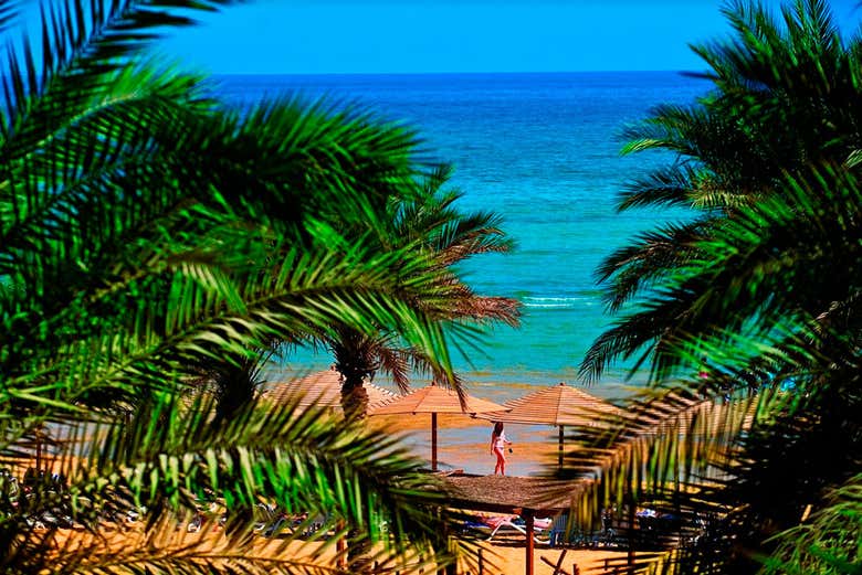 Ain Sokhna, destino de playa en el Mar Rojo