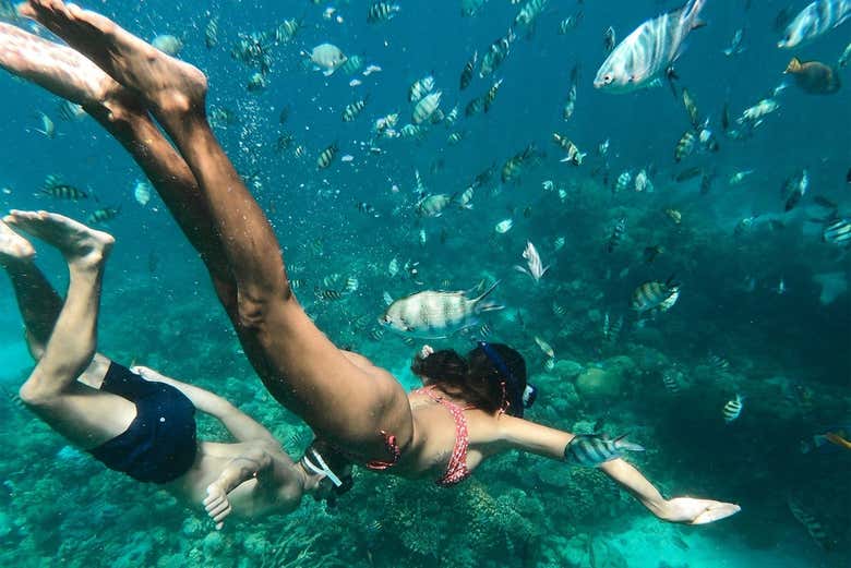 Haciendo snorkel entre peces y arrecifes de coral