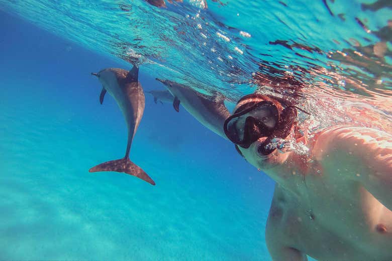 ¡Selfie!