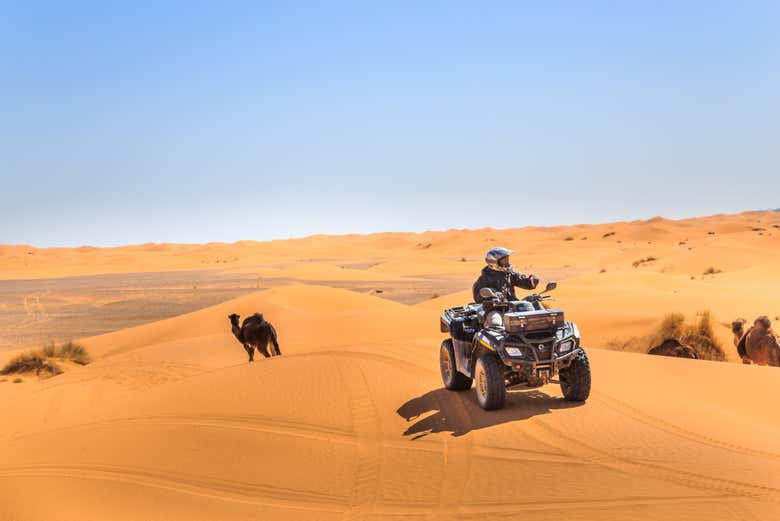 Surcando el desierto en quad