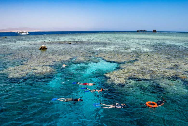 Haréis snorkel en uno de los lugares más especiales de Egipto