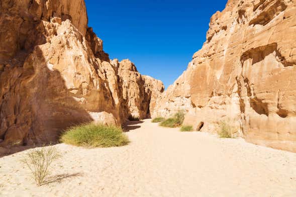 Tour en 4x4 por el Cañón Blanco y Ain Khudra